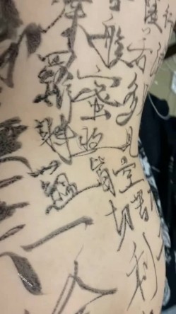 预览图10