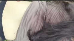 预览图9