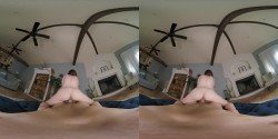 预览图8