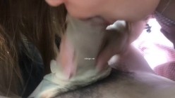 预览图9