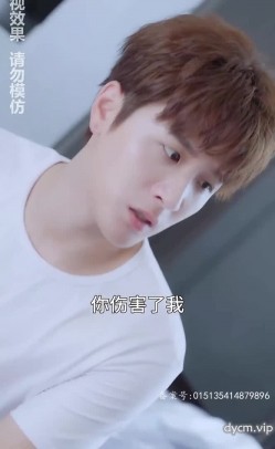 预览图5