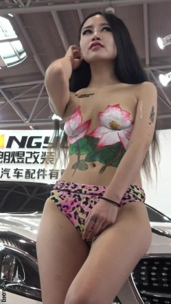 预览图3