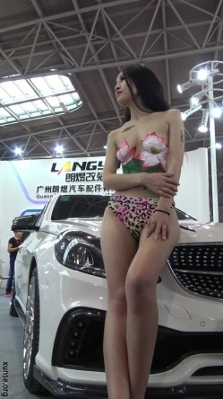 预览图8