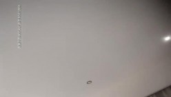 预览图5