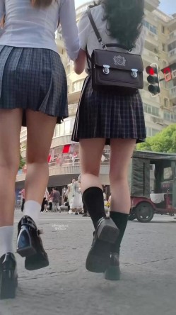 预览图5