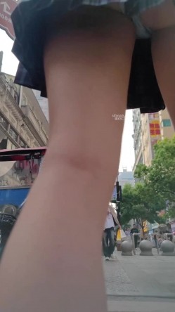 预览图12