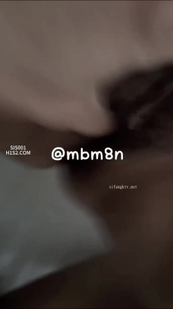 预览图4