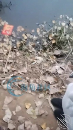 预览图14