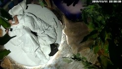 预览图12