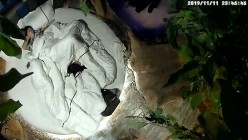 预览图13