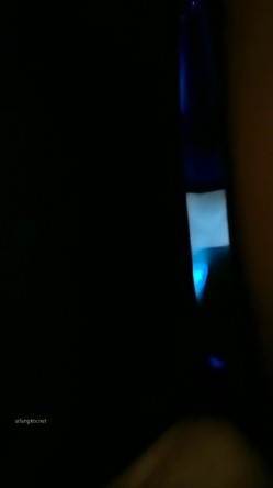 预览图11