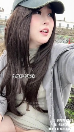 预览图3