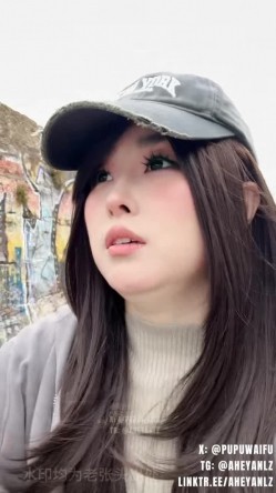 预览图4