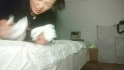预览图4