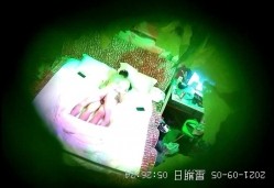 预览图2