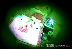 预览图3