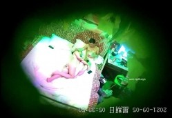 预览图5