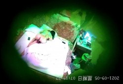 预览图8