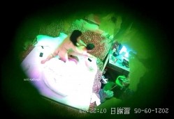 预览图9