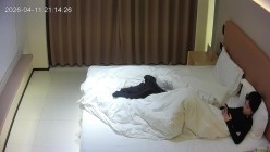预览图4