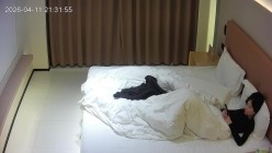 预览图9
