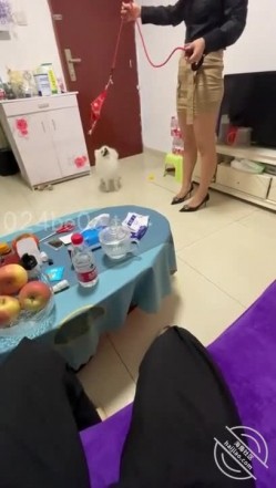 预览图2