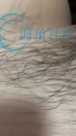 预览图7