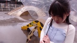 预览图1