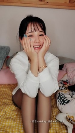 预览图13
