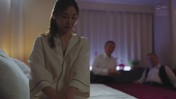 预览图4