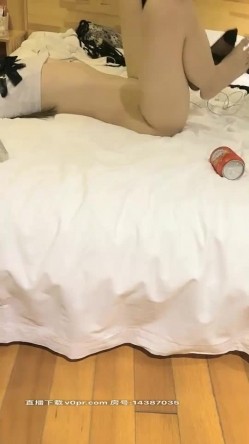 预览图10