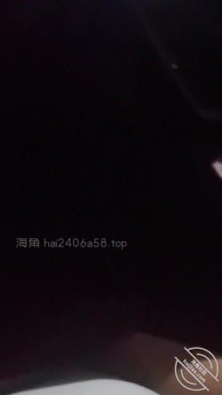 预览图4