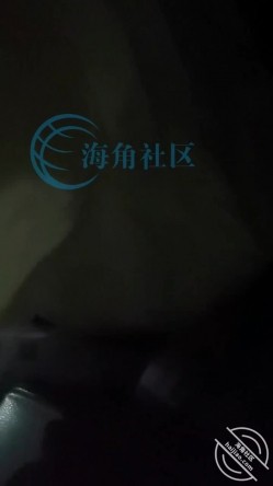 预览图8