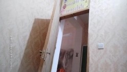 预览图5