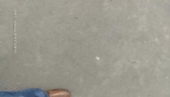 预览图16