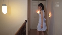 预览图5