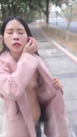 预览图1