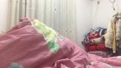预览图7