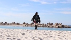 预览图16