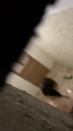 预览图1