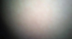 预览图7