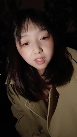 预览图13