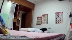 预览图6