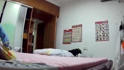 预览图8