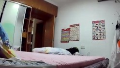预览图9