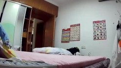 预览图10