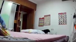 预览图11