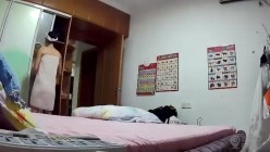 预览图12