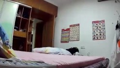 预览图13