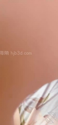 预览图3